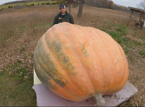 梦见吃瓜呕吐,吃瓜呕吐背后的心理寓意
