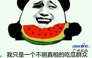 吃瓜表情什么意思,网络热词背后的文化现象