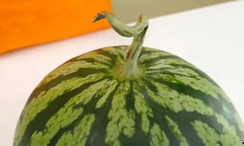 吃的瓜怎么打开