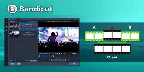 视频分割,从细节到全局的视觉盛宴