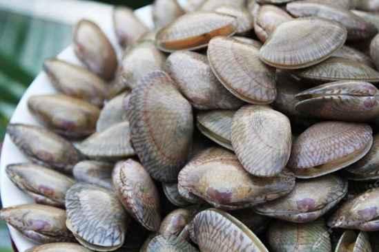 吃瓜螺,揭秘夏日消暑美食背后的故事