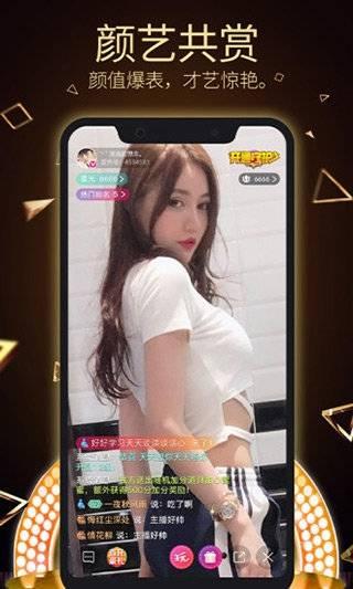 成人花花视频下载,隐私与安全的双重挑战